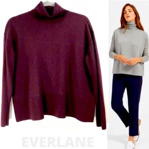 Everlane Luxe Wool Turtleneck Boxy Sweater Dolman